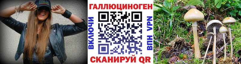 Галлюциногенные грибы ЛСД  Купить  Бакал 